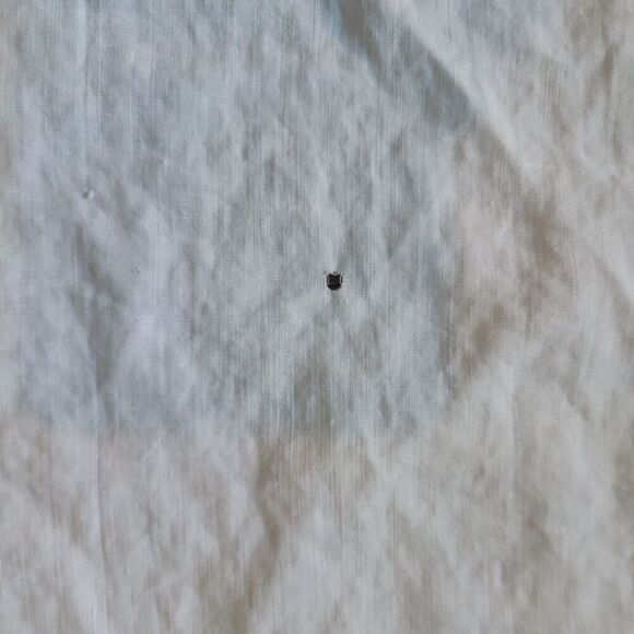 Vintage Filet Lace Off White Small Tablecloth / Table Cover 40" x 40" rose - Picture 7 of 9